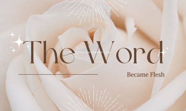 The Word Became Flesh | Daily Devotional