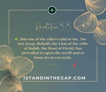 The Lion of Judah (Revelation 5:5)