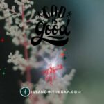 The Goodness of God: A Daily Devotional (Psalm 34:8)